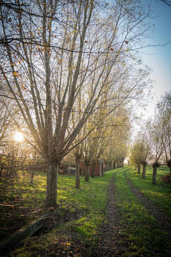 Buytenshuys Hooglede Dış mekan fotoğraf